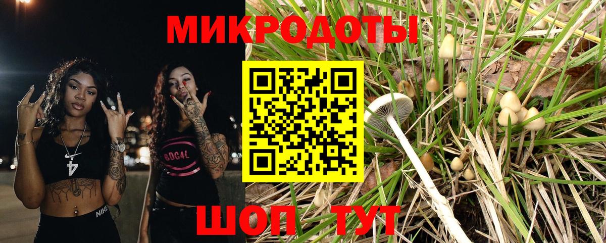 Псилоцибиновые грибы Cubensis  Вход с VPN  где купить наркотик  Тула 